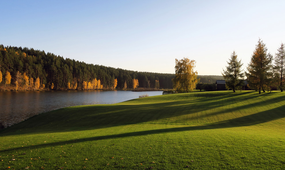 Новый пейзаж