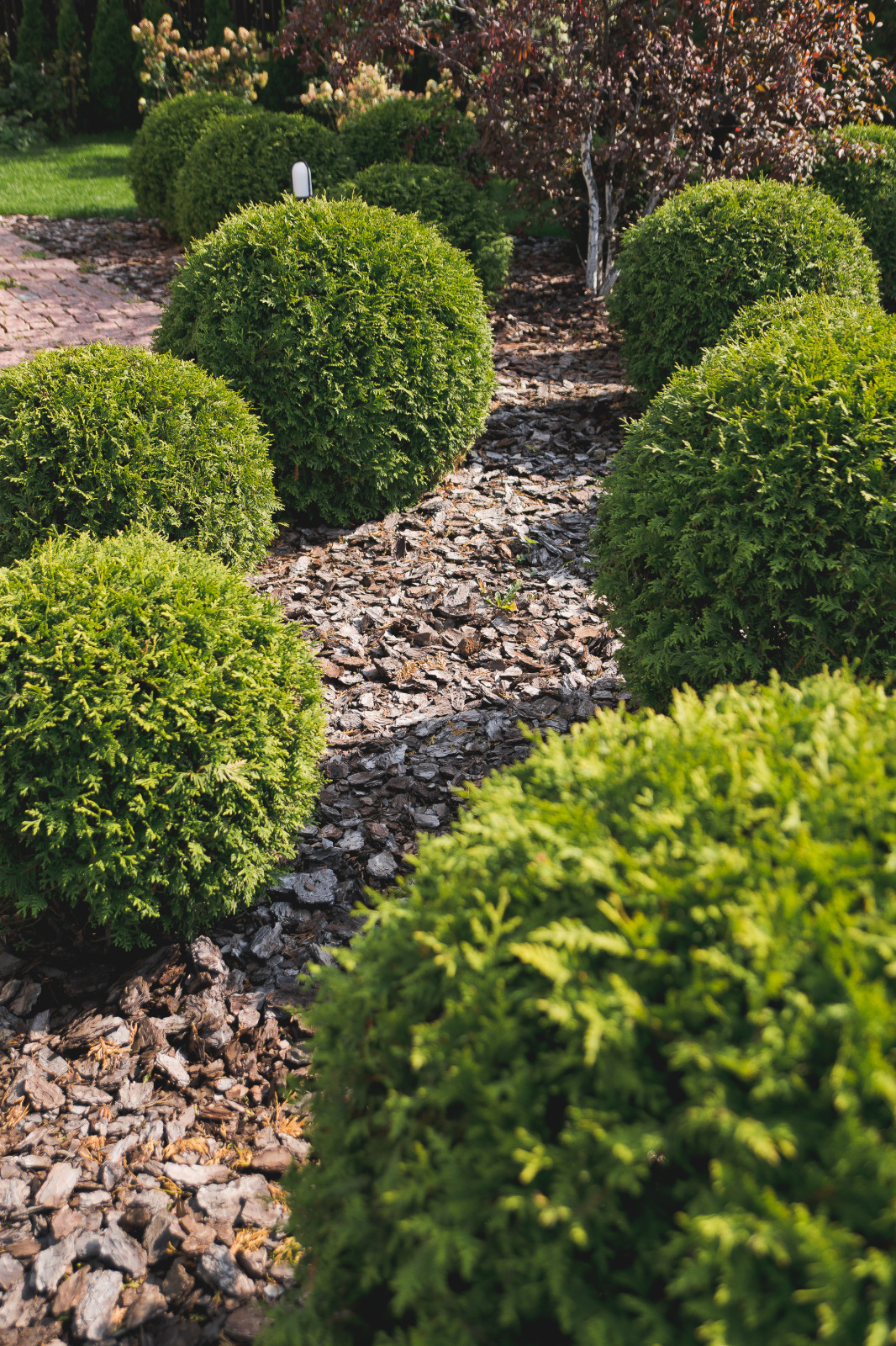 Современный сад на Успенском шоссе