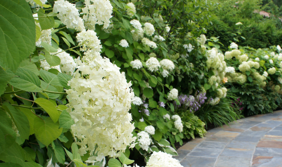 Цветники и композиции крупным планом