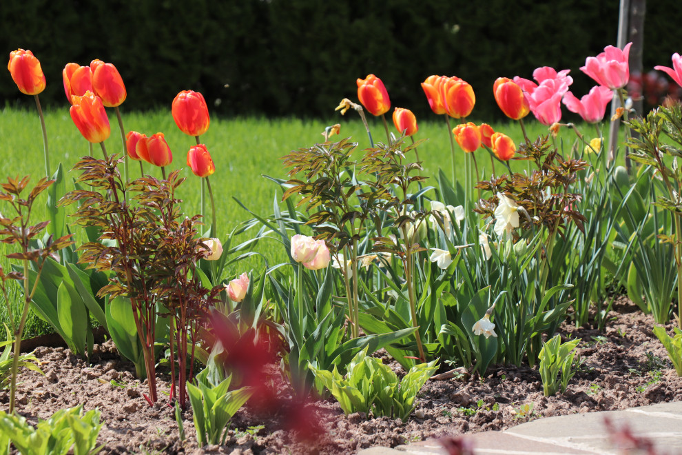 Весна 2020 Сосновые берега