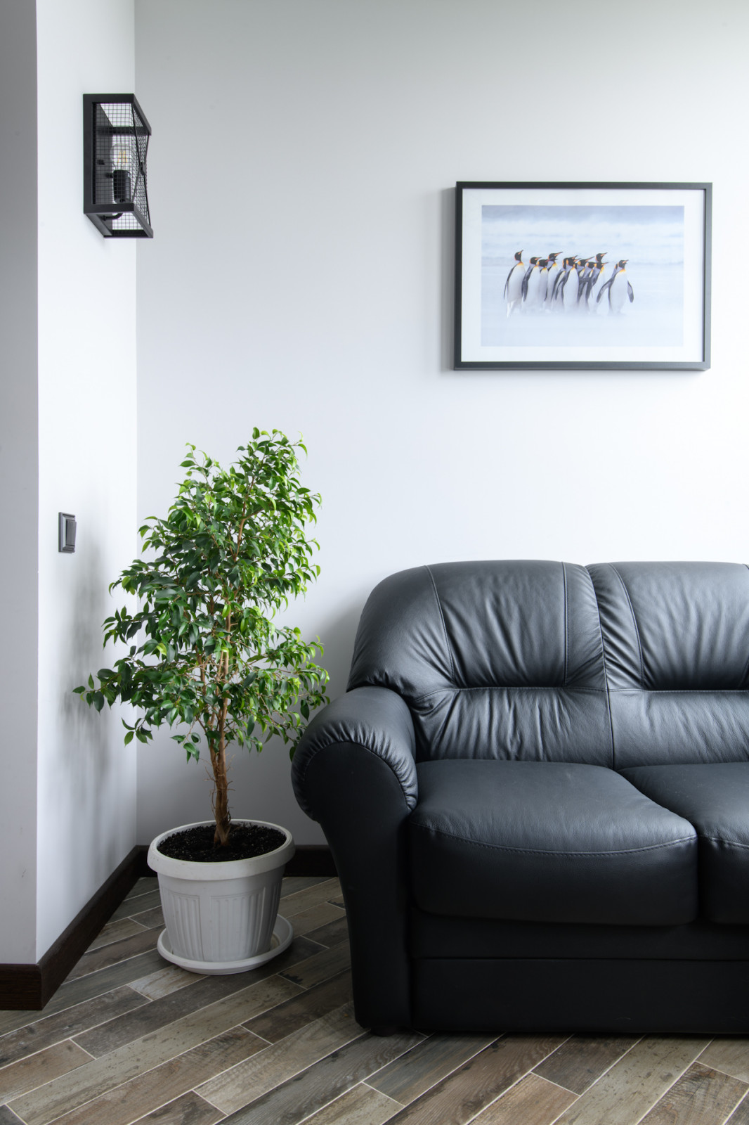 Квартира для начинающего бизнесмена