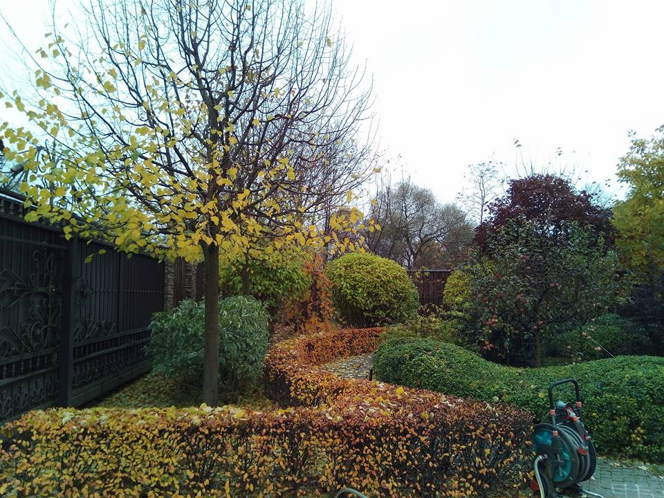 Сенькино московская обл