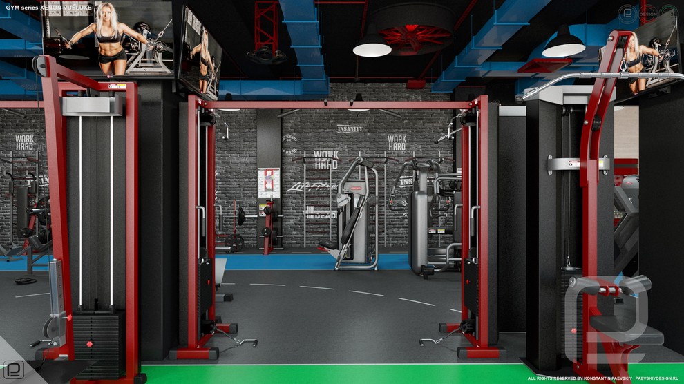 Тренажерный зал GYM series XENON-VDELUXE