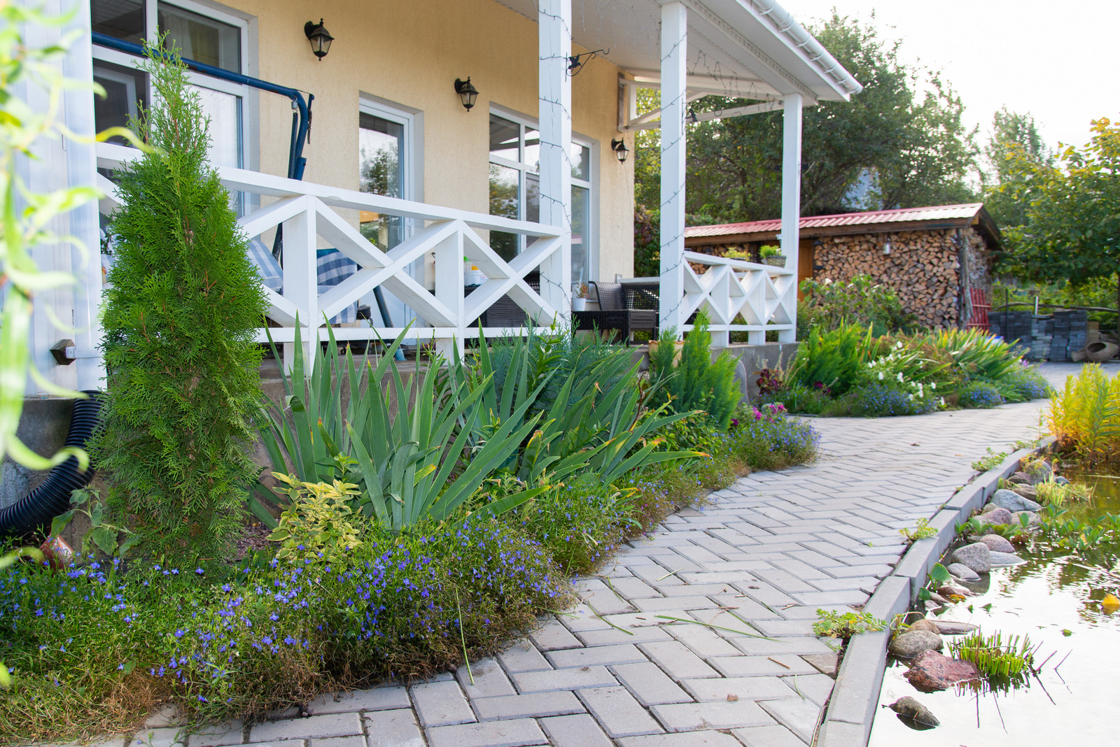 Анастасия Михайлова