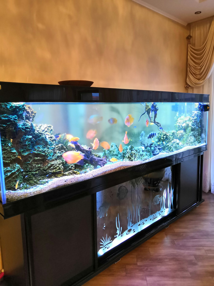 Обложка проекта: Аквариум для крупных рыб