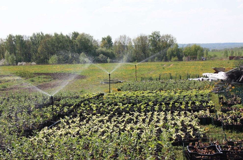 Автополив в питомнике Осётр в Тульской области д. Махринские выселки