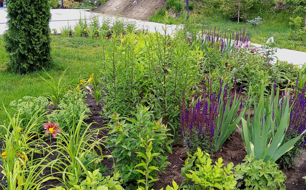 Цветники на территории храма