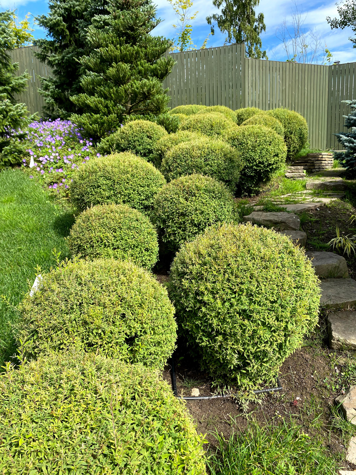 Курортный район Лен. область