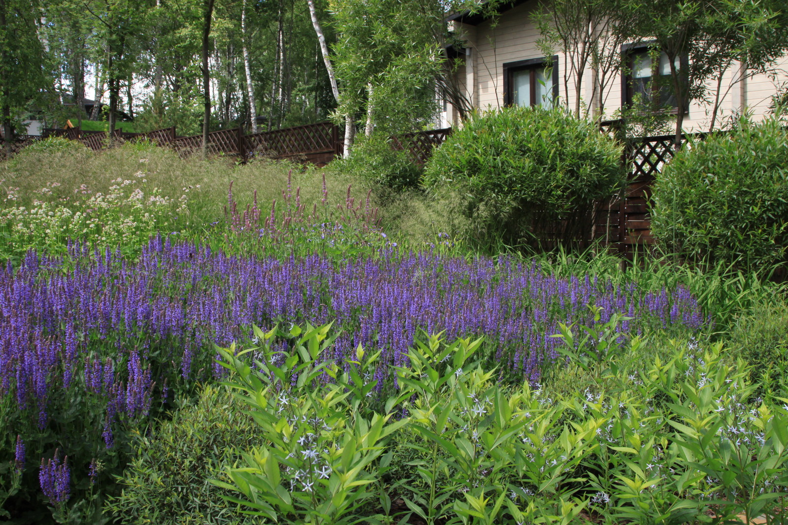 Проект "Волны". Нижний сад