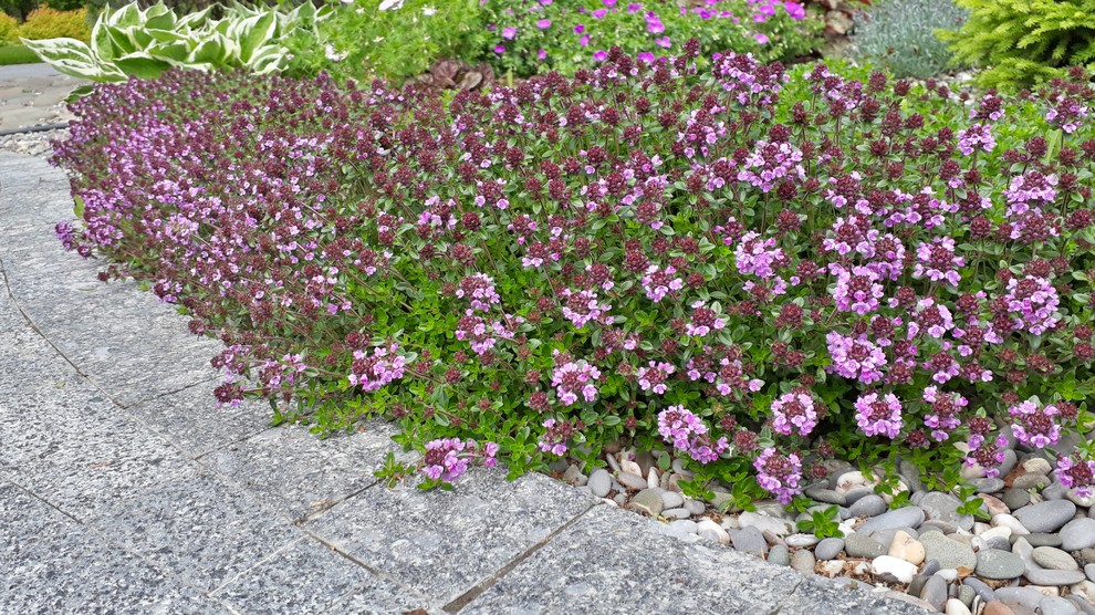 Графские пруды