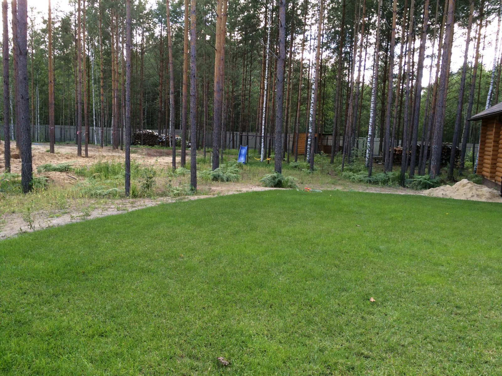 Лесная сказка Марий Эл. Сад в стиле Naturgarden