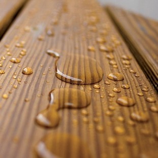 Фото профиля Виталий Медведев