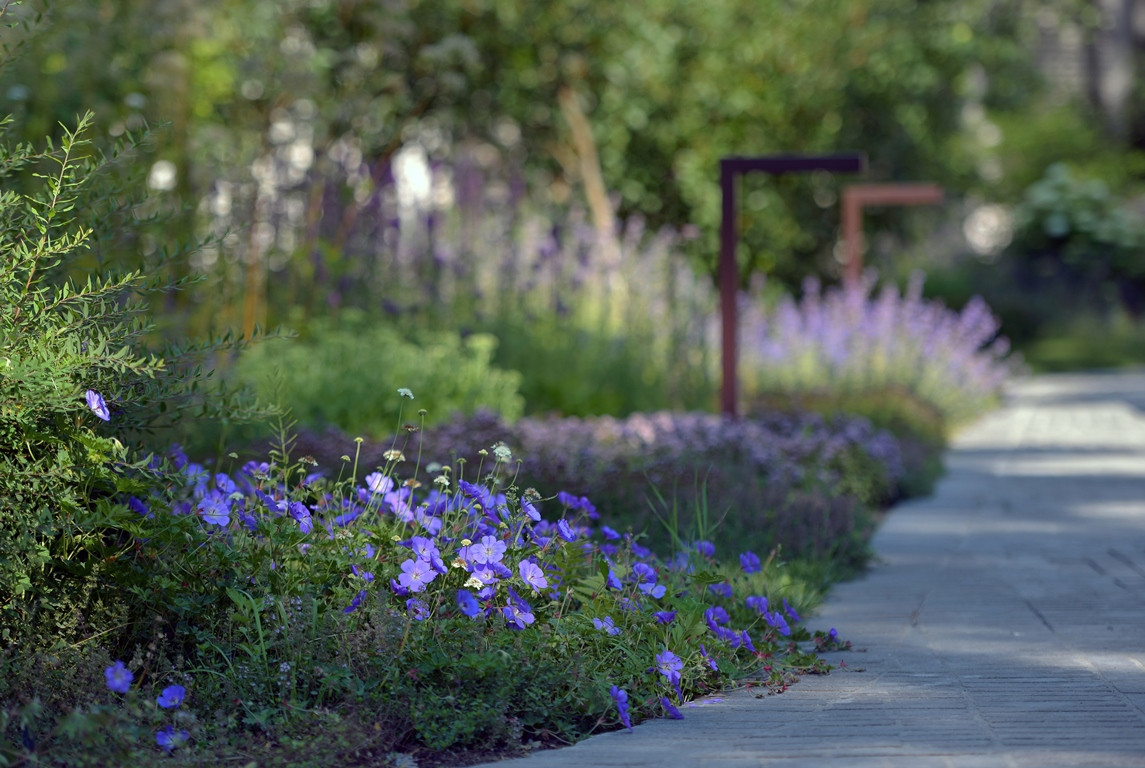 Лесная Рапсодия