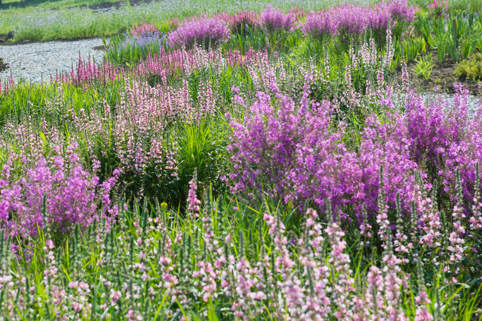 Обложка альбома: Мои идеи пользователя Ольга