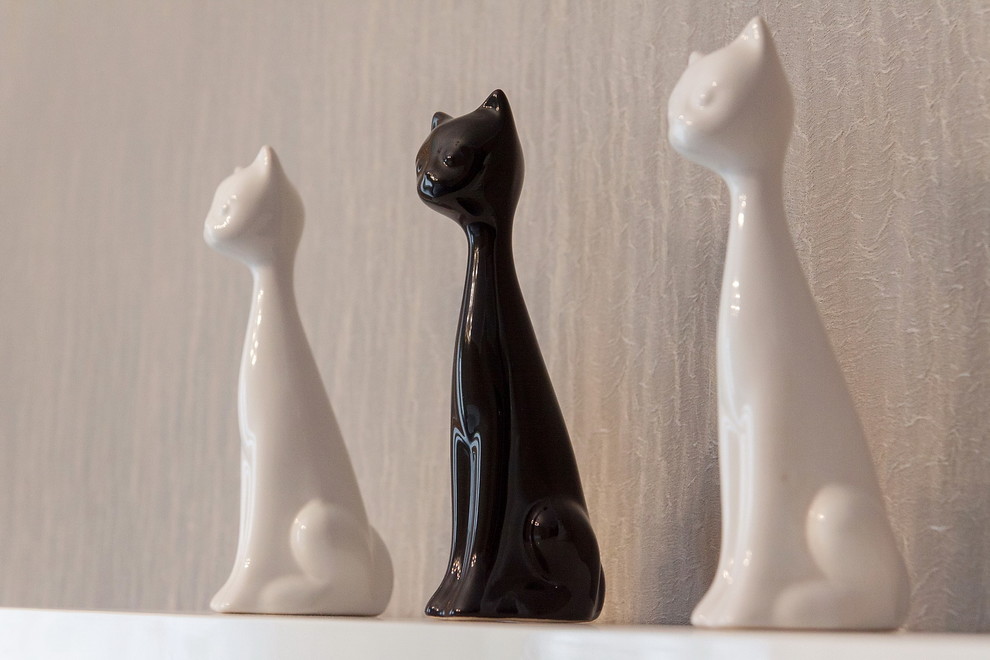 Интерьерная съемка квартиры в Озерках