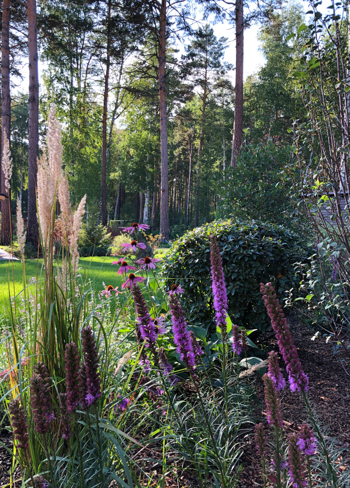 Усадьба на краю леса