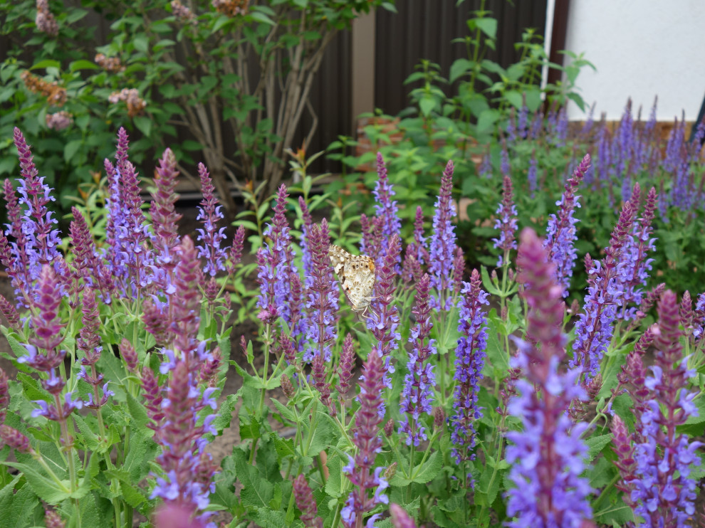 Частный сад в г.Самара