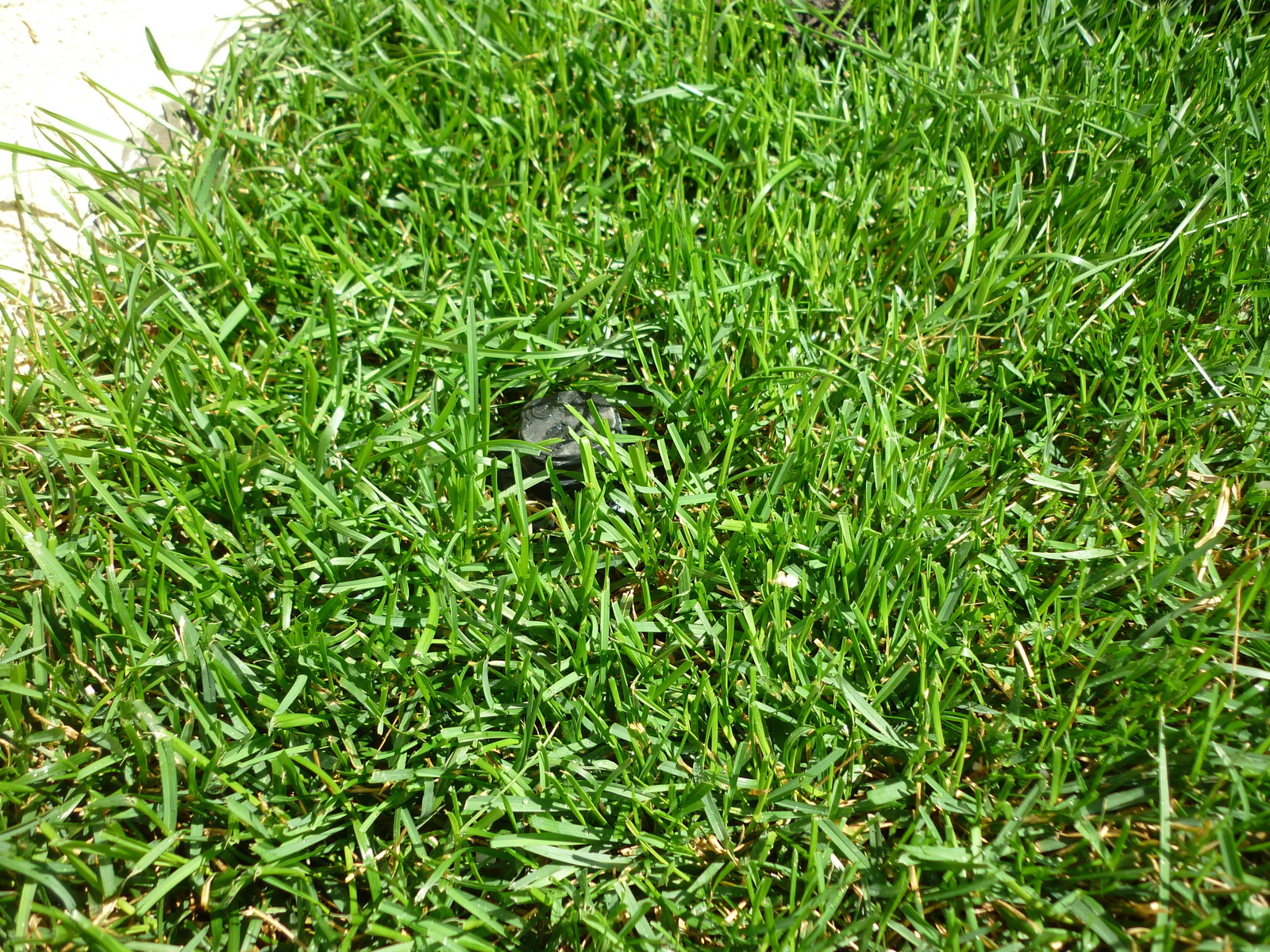 Ландшафтная мастерская Этюд