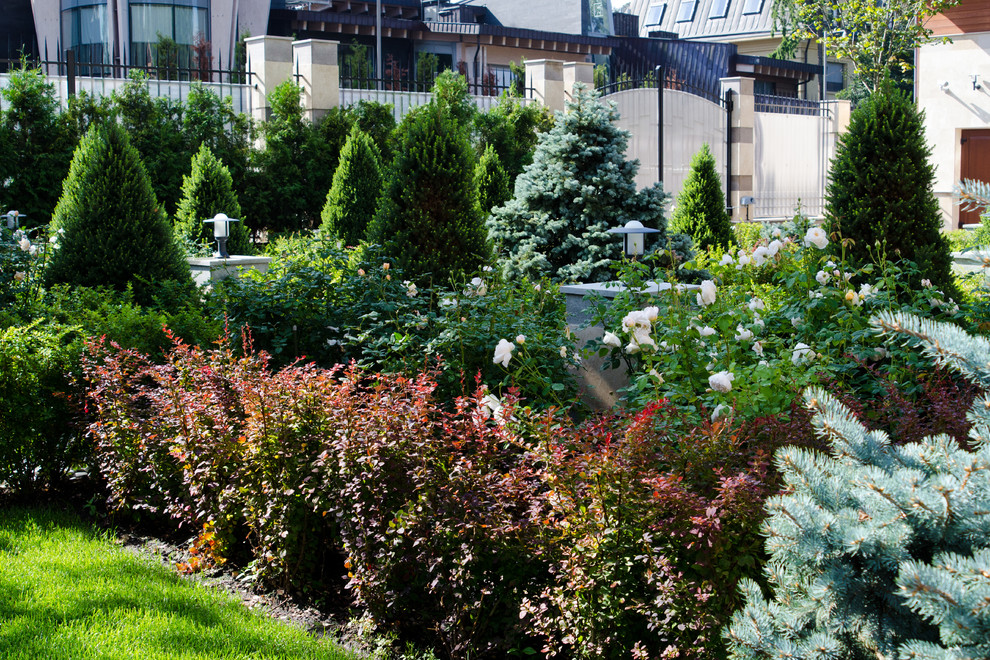 Глянцевый лес