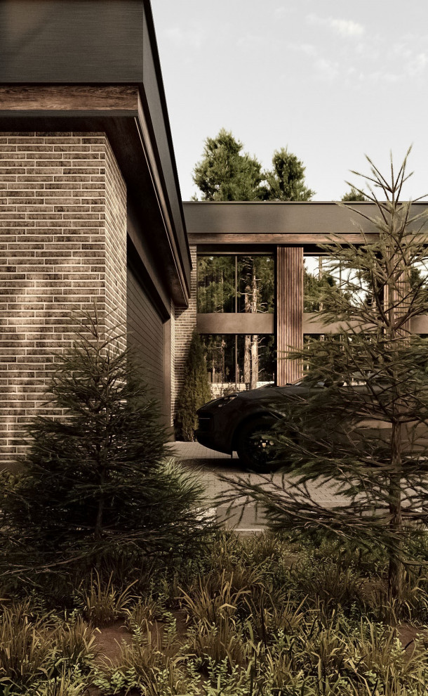 Фасады частного дома в Санкт-Петербурге