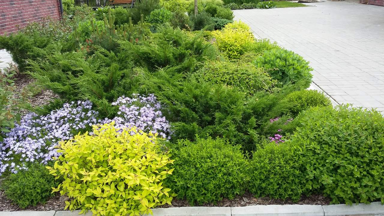 Сад  на холмах