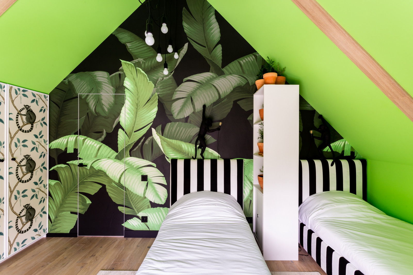 Проект для ТВ программы "Дачный ответ"