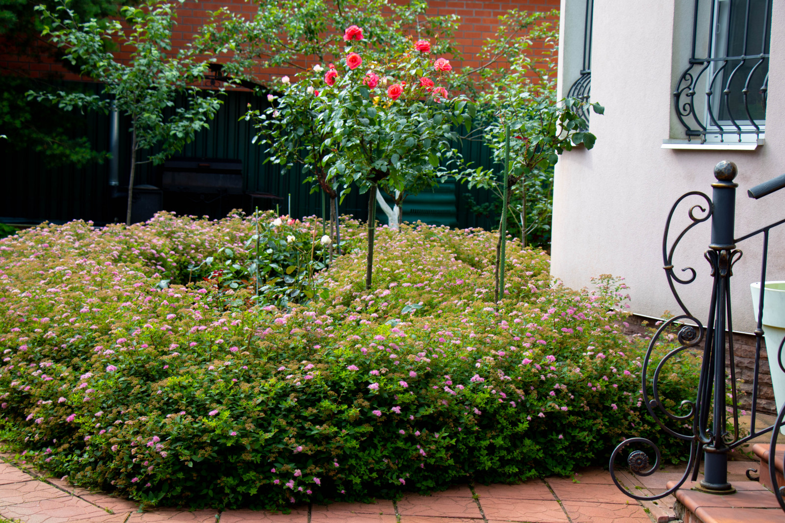 Французский садик в поселке Рыбаки Дмитровское шоссе