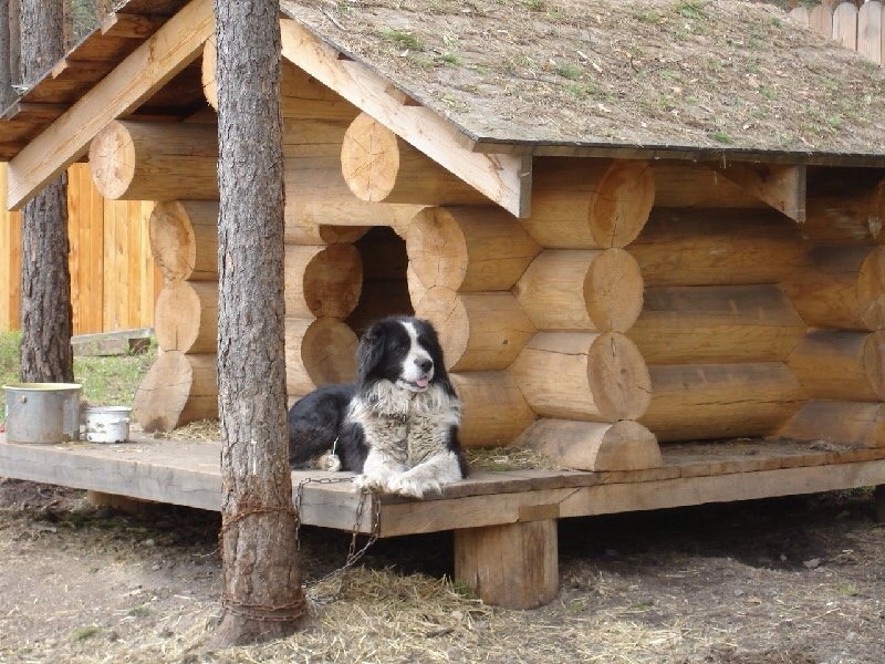 Обложка проекта: Банька