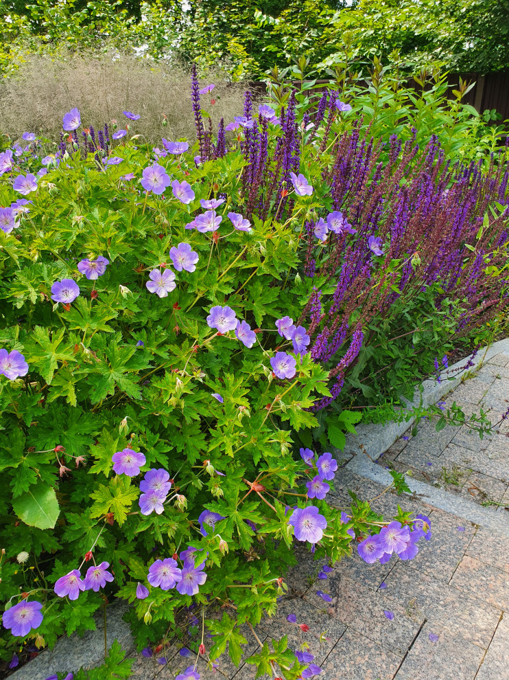 Частный сад