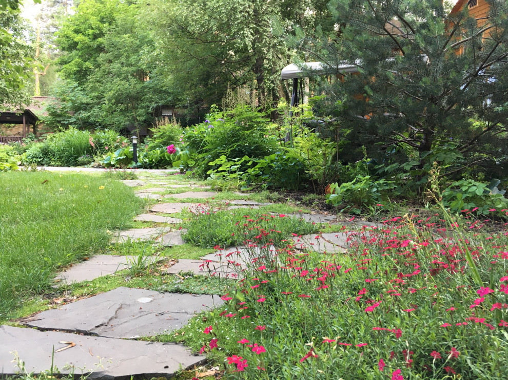 Белкин сад. Лето 2019