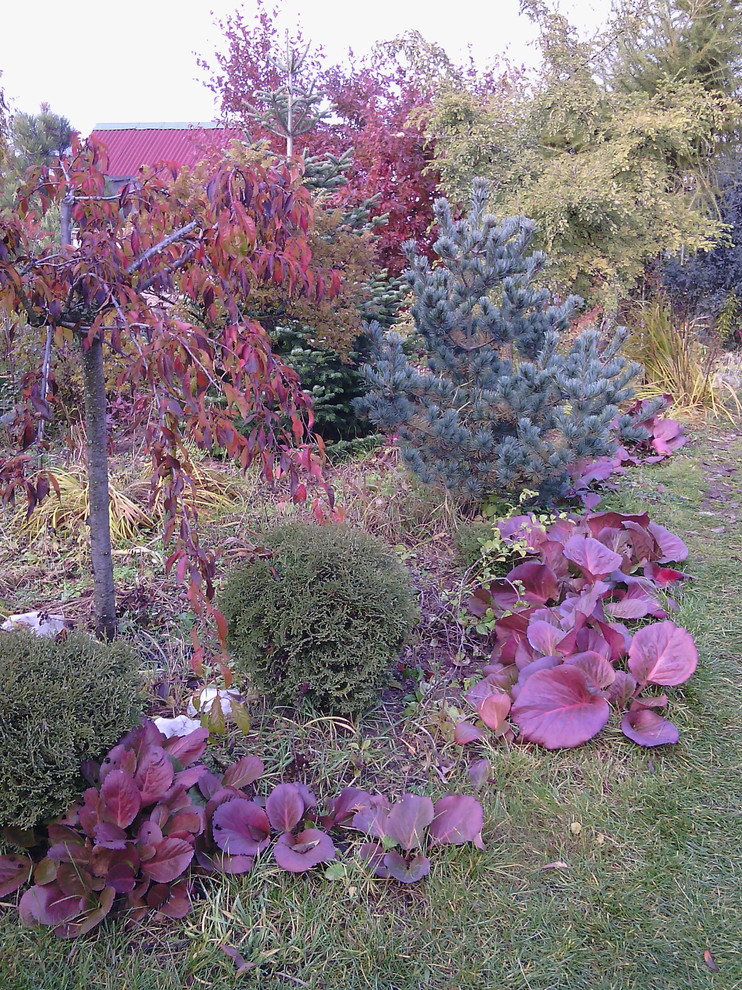 Наш собственный сад