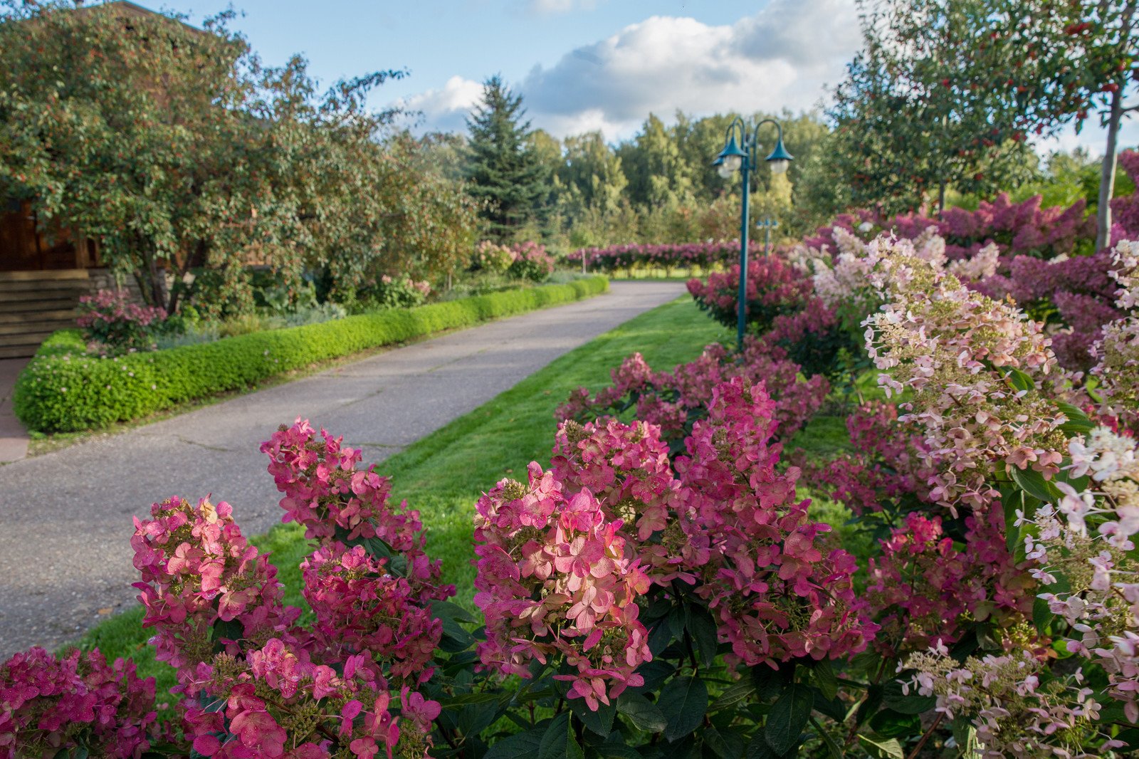 Парк в  Шаховском районе