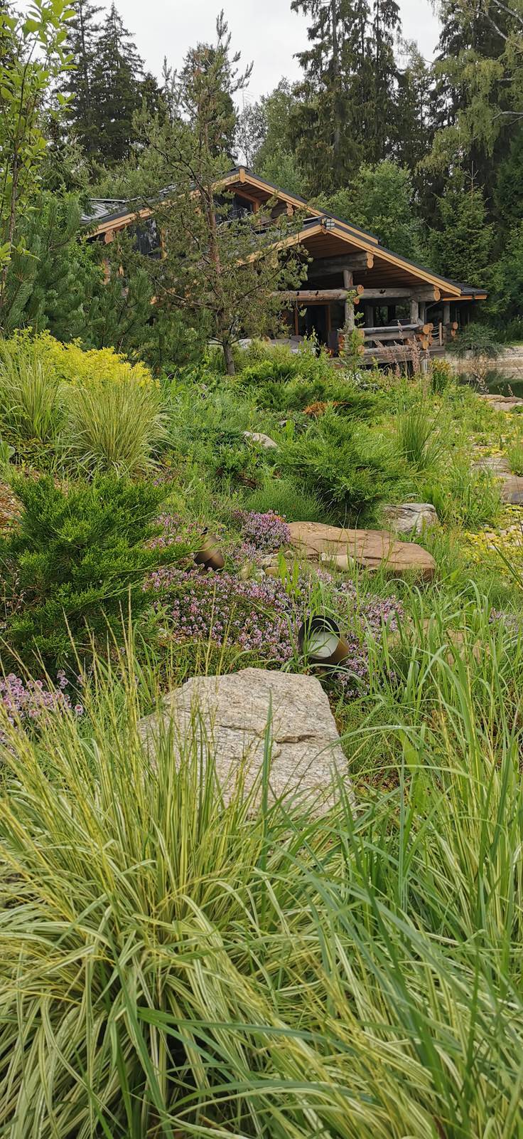 Лесное озеро