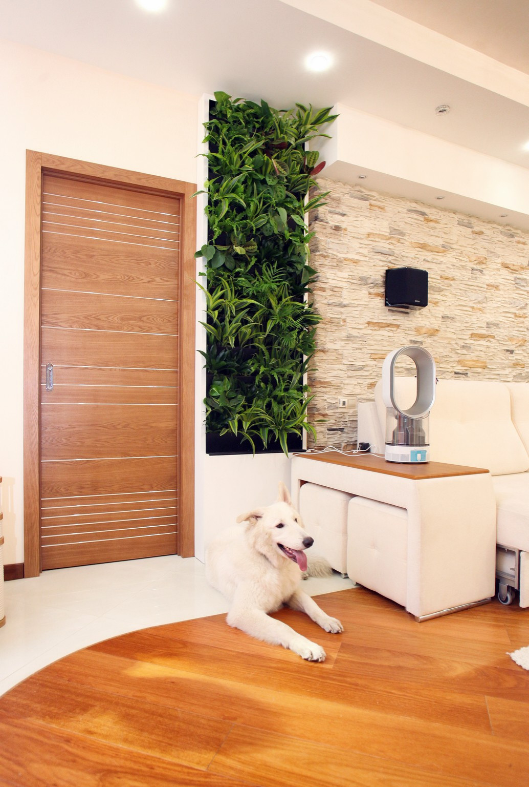 Вертикальное озеленение интерьера