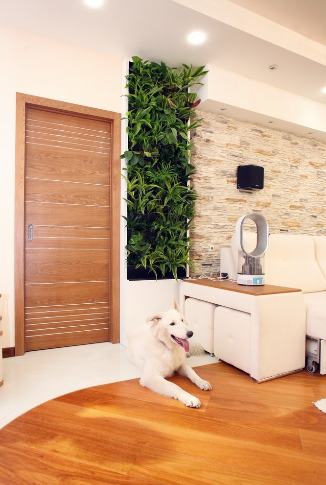 Вертикальное озеленение интерьера