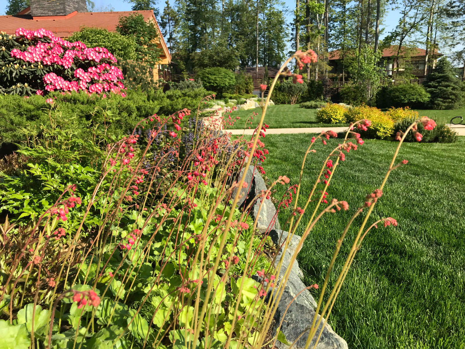 Современный ландшафтный дизайн.