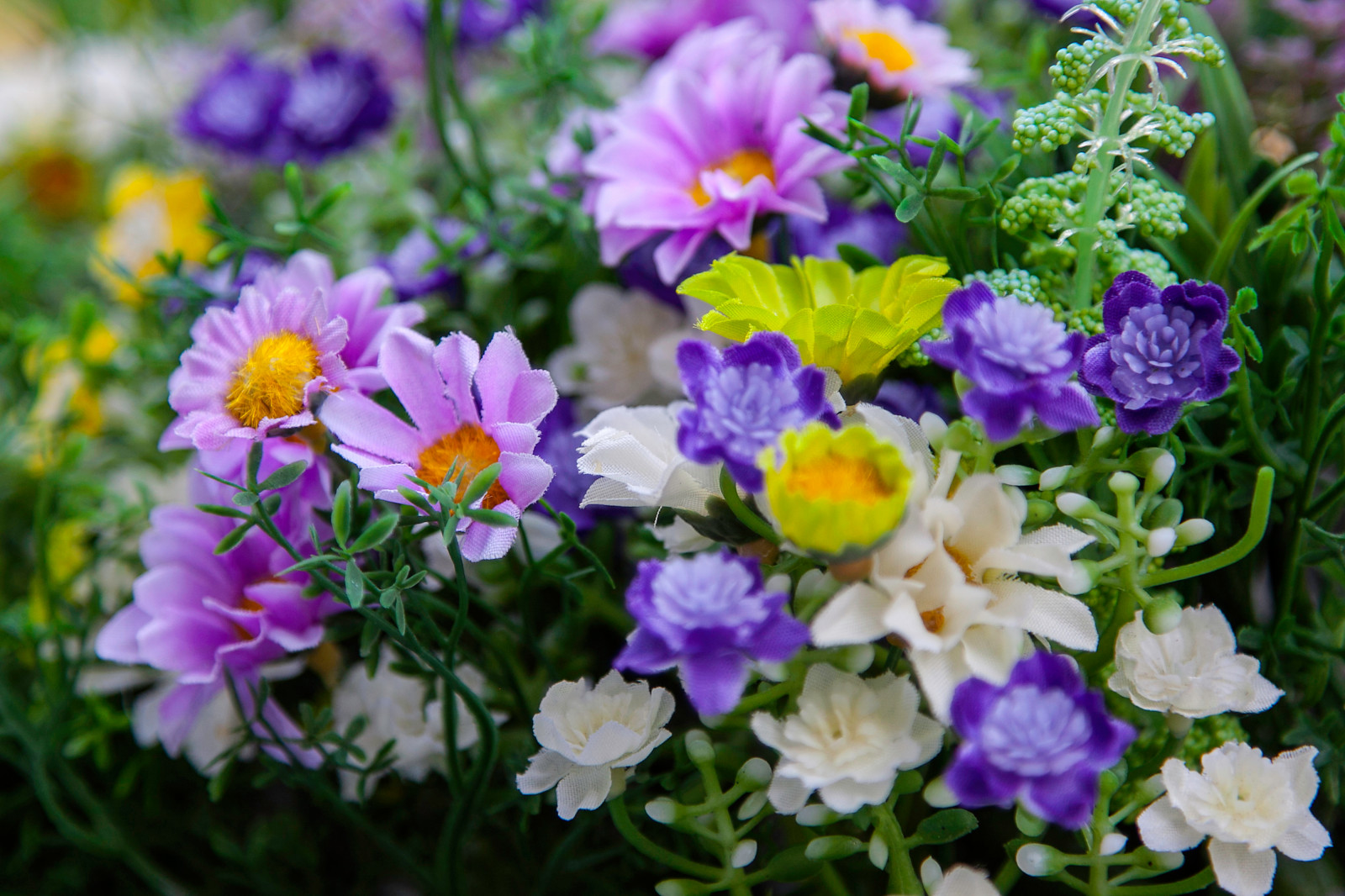 Наши проекты