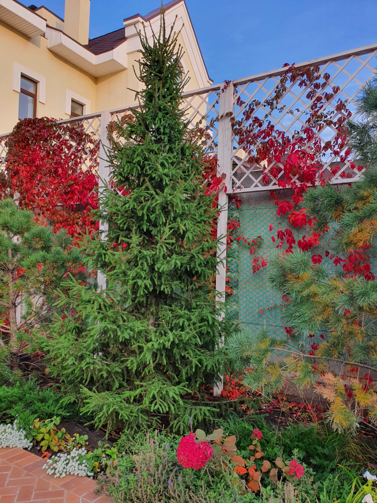 Хвойный сад