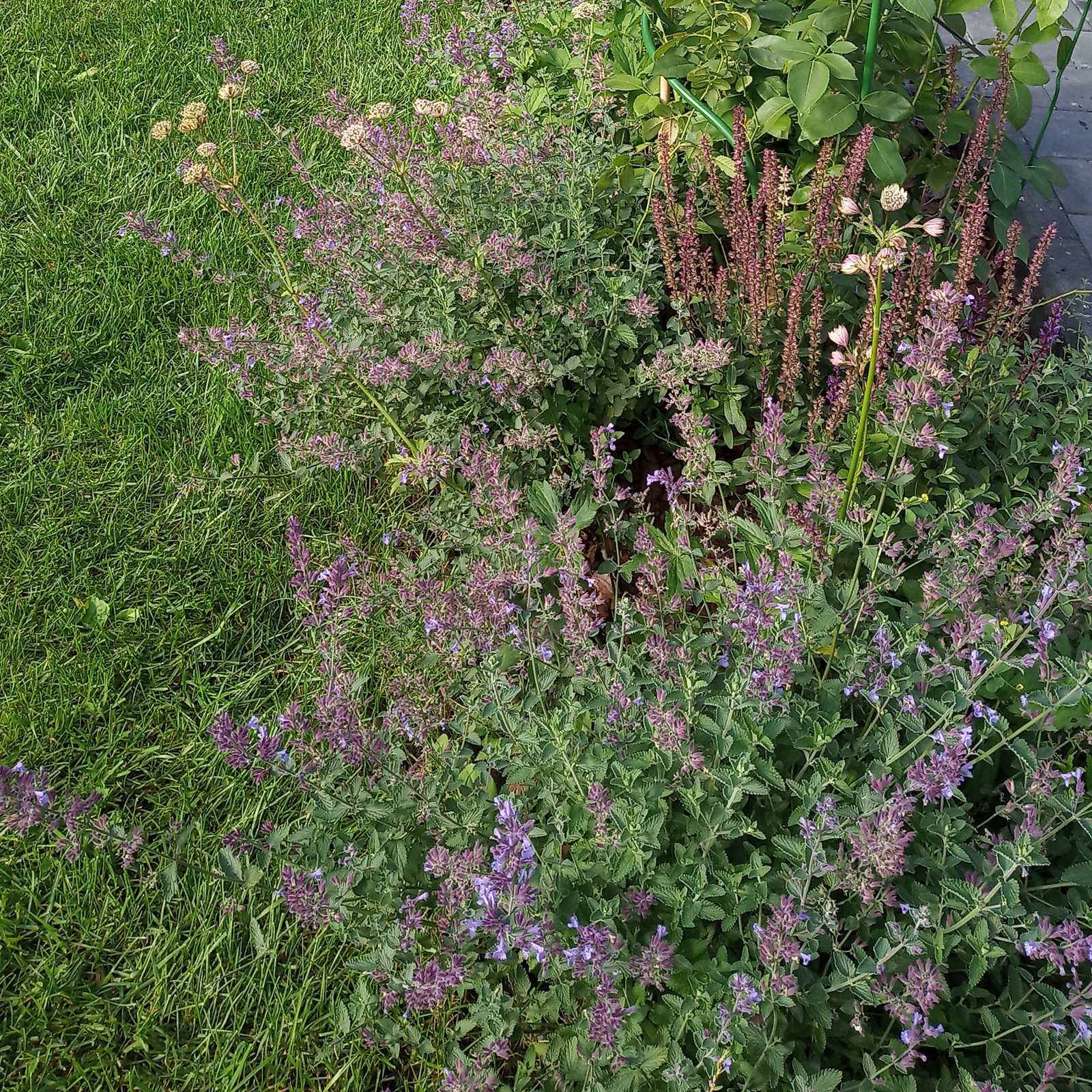 Патио в английском стиле