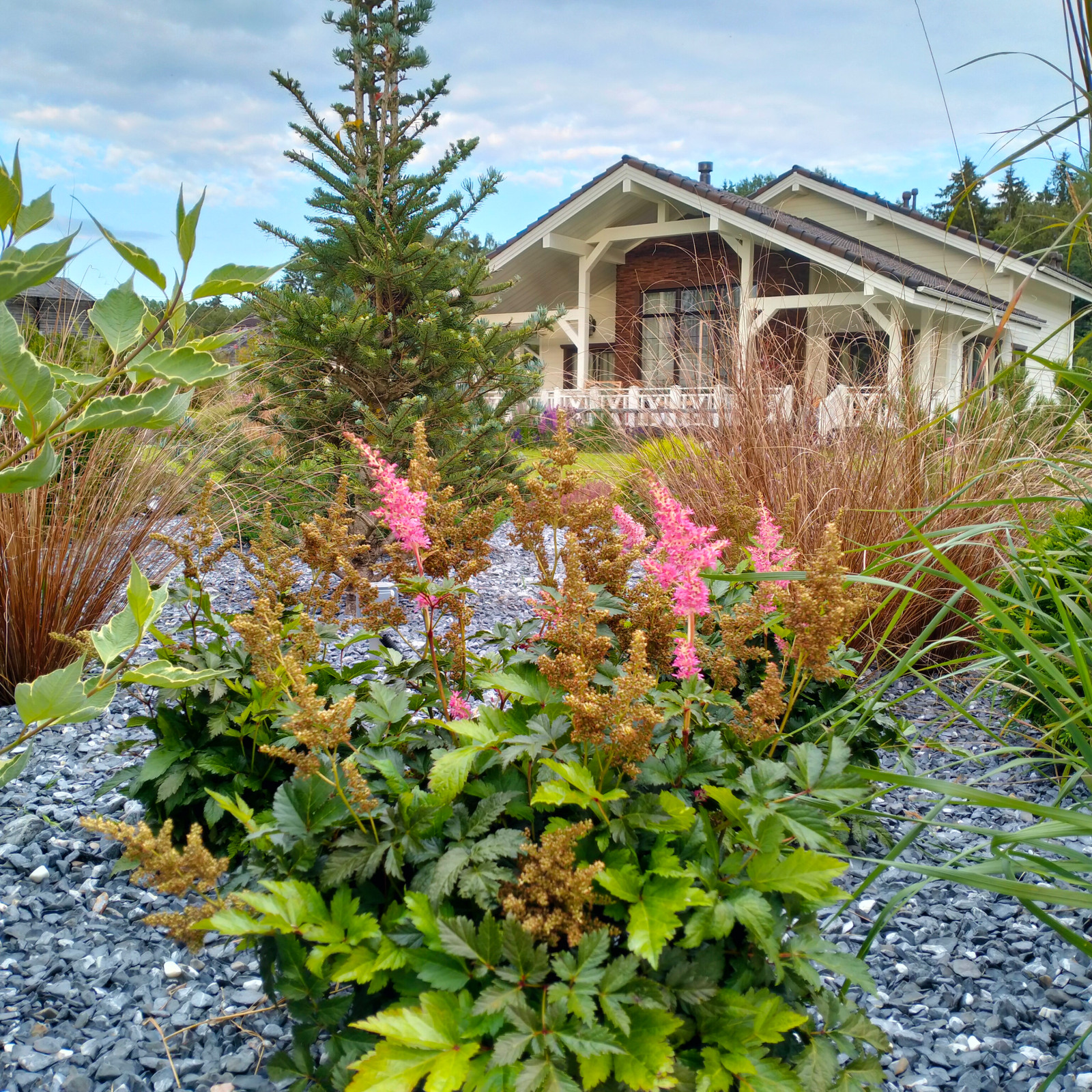 Участок 20 соток