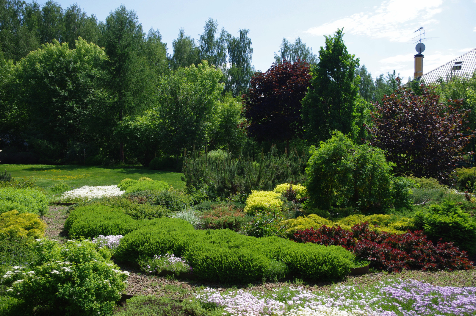 Фрагмент средиземноморского садика