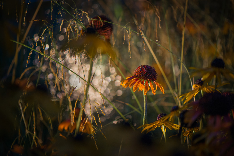 Обложка проекта: Калейдоскоп