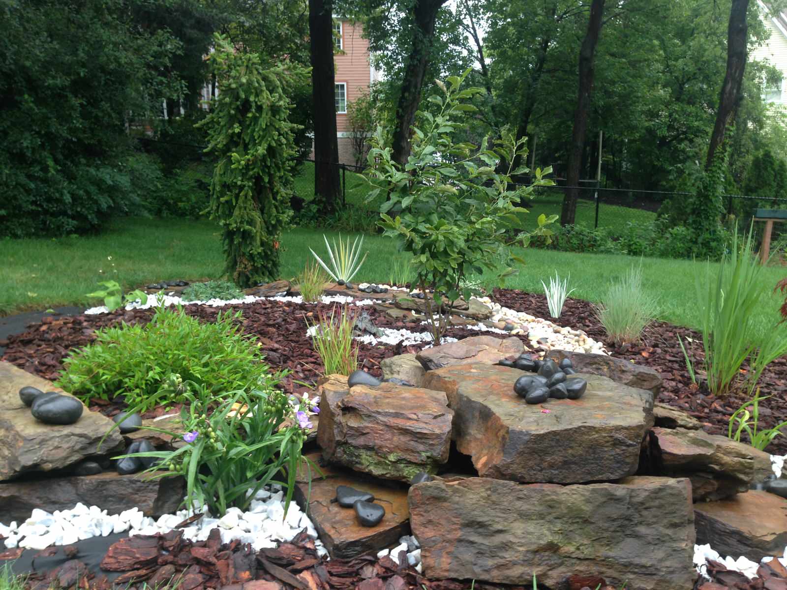 Анна Харченко