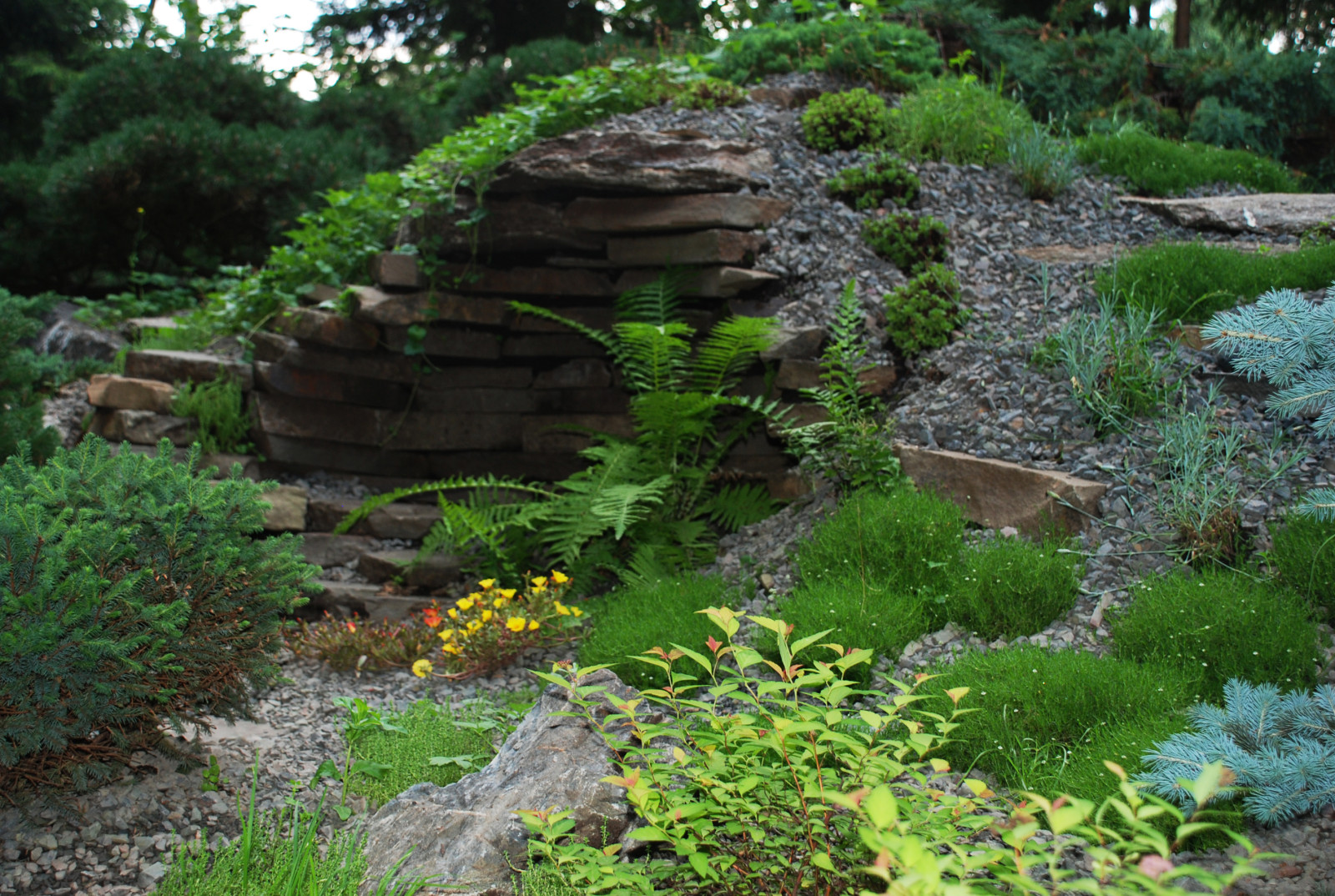 Лесной участок в КП "РИИТА"