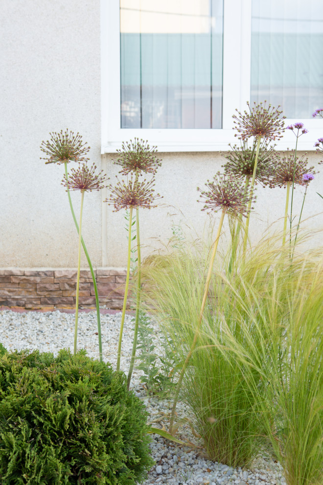 Озеленение территории офисного здания