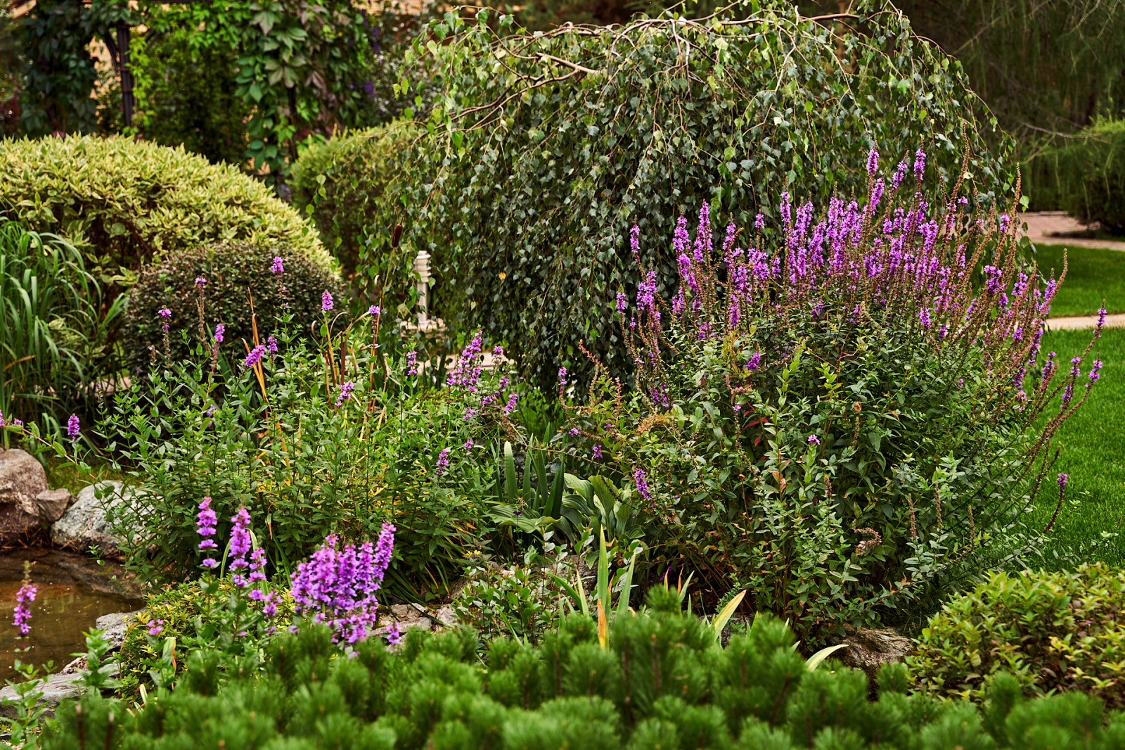 Простор и комфорт загородной жизни
