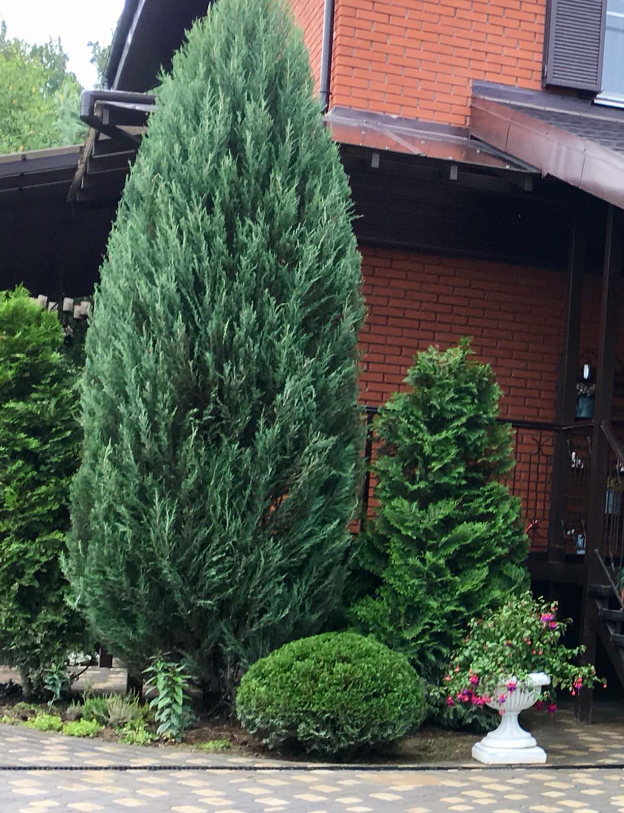 Обложка проекта: Красная Пахра