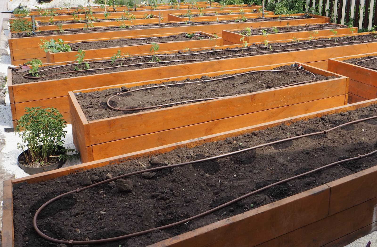 Системы полива