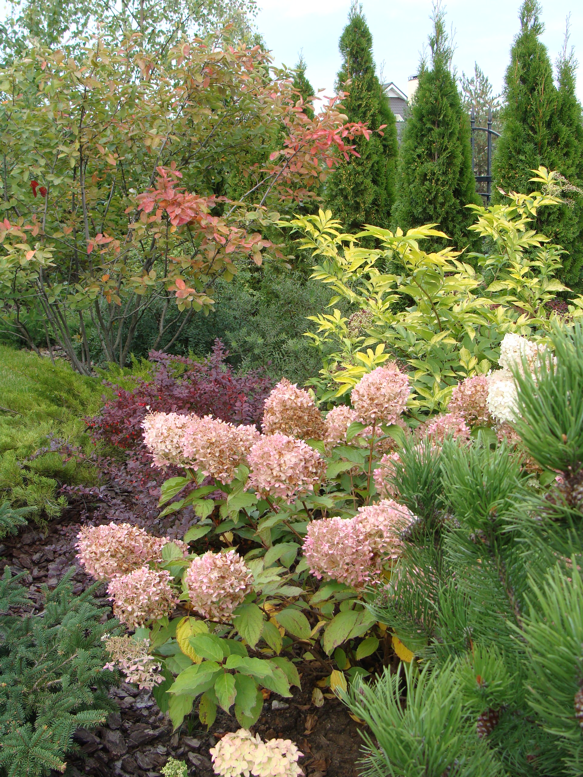 Ледниковый период: Как уберечь растения зимой