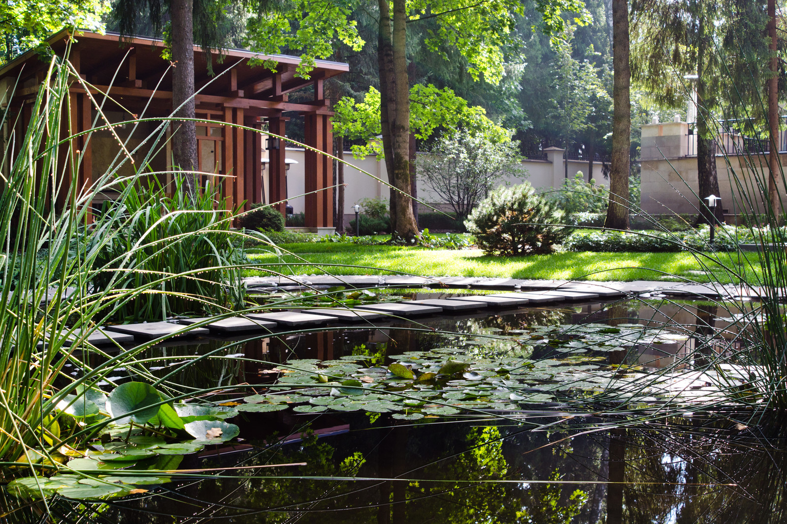 Глянцевый лес